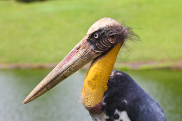 Similar image 582064