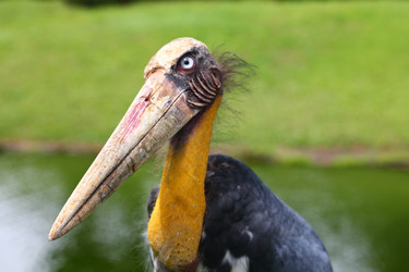 Similar image 582066