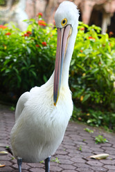 Similar image 582068