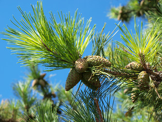 Similar image 582118