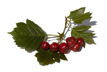 Similar image 582123