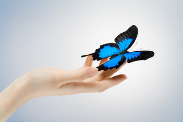 Similar image 582211