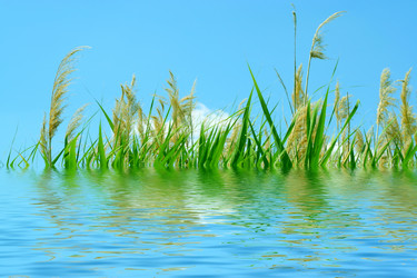 Similar image 582595