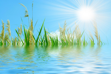 Similar image 582603