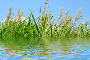 Similar image 582611