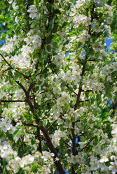 Similar image 582653