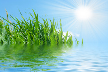 Similar image 582717