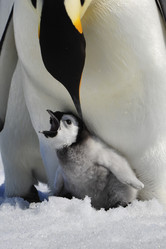 Similar image 582889