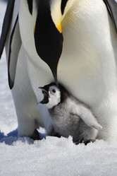 Similar image 582890