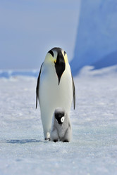 Similar image 582892