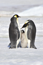 Similar image 582899