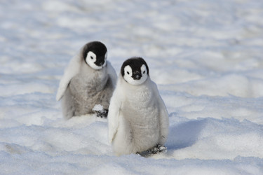 Similar image 582918