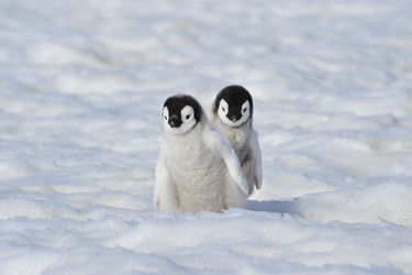 Similar image 582921