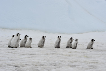 Similar image 582926