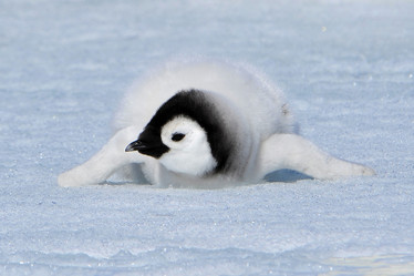 Similar image 582929