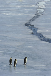 Similar image 582939