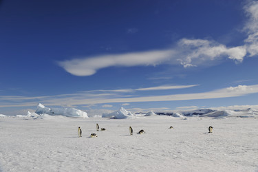 Similar image 582942