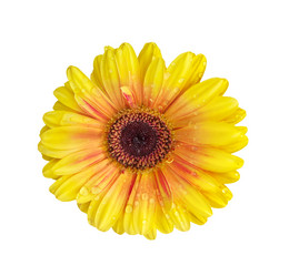 Similar image 582958