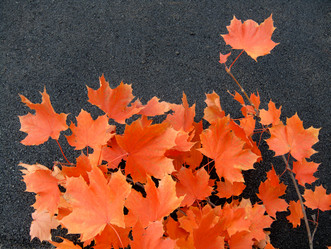 Similar image 582960