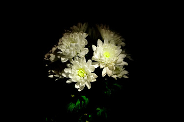 Similar image 583006