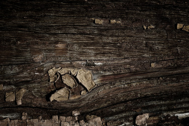 Similar image 583126