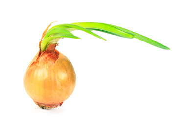 Similar image 583132