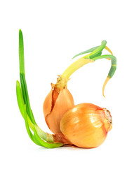 Similar image 583135