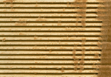 Similar image 583136