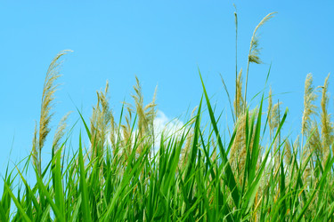 Similar image 583170