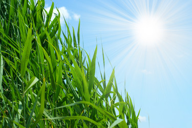 Similar image 583171