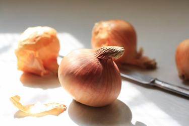 Similar image 583177