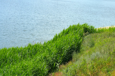 Similar image 583193