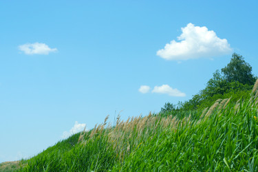 Similar image 583199