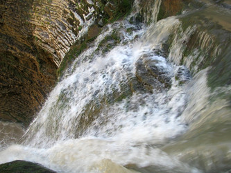 Similar image 583325