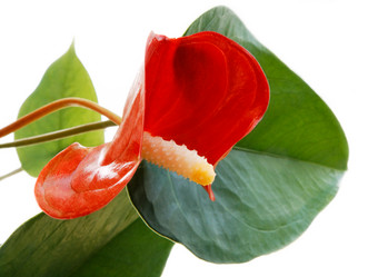 Similar image 583335