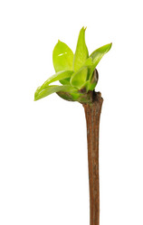 Similar image 583343