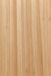 Similar image 583376