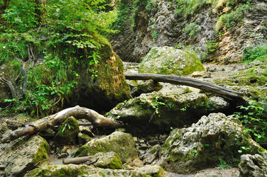 Similar image 583382