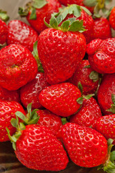 Similar image 583389