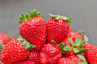 Similar image 583395