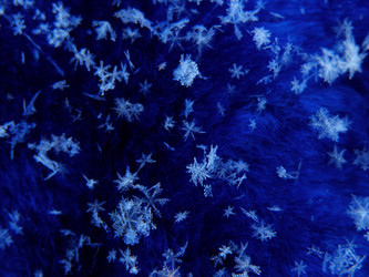 Similar image 583459