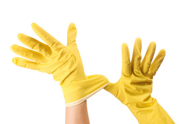 Similar image 583522