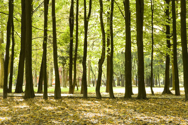 Similar image 583528