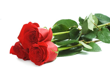 Similar image 583532