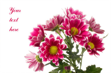 Similar image 583541