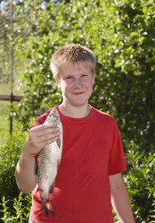 Similar image 583746