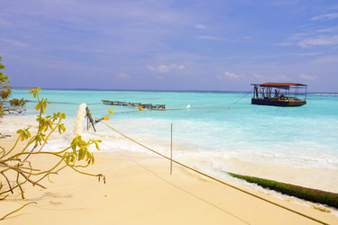 Similar image 583778