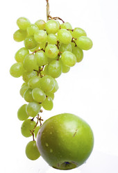 Similar image 583958