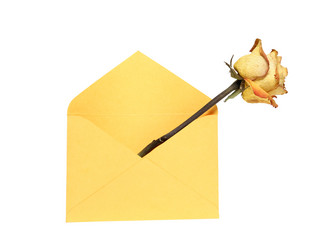 Similar image 583993