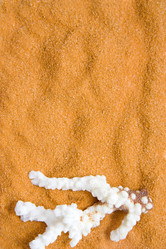 Similar image 583994